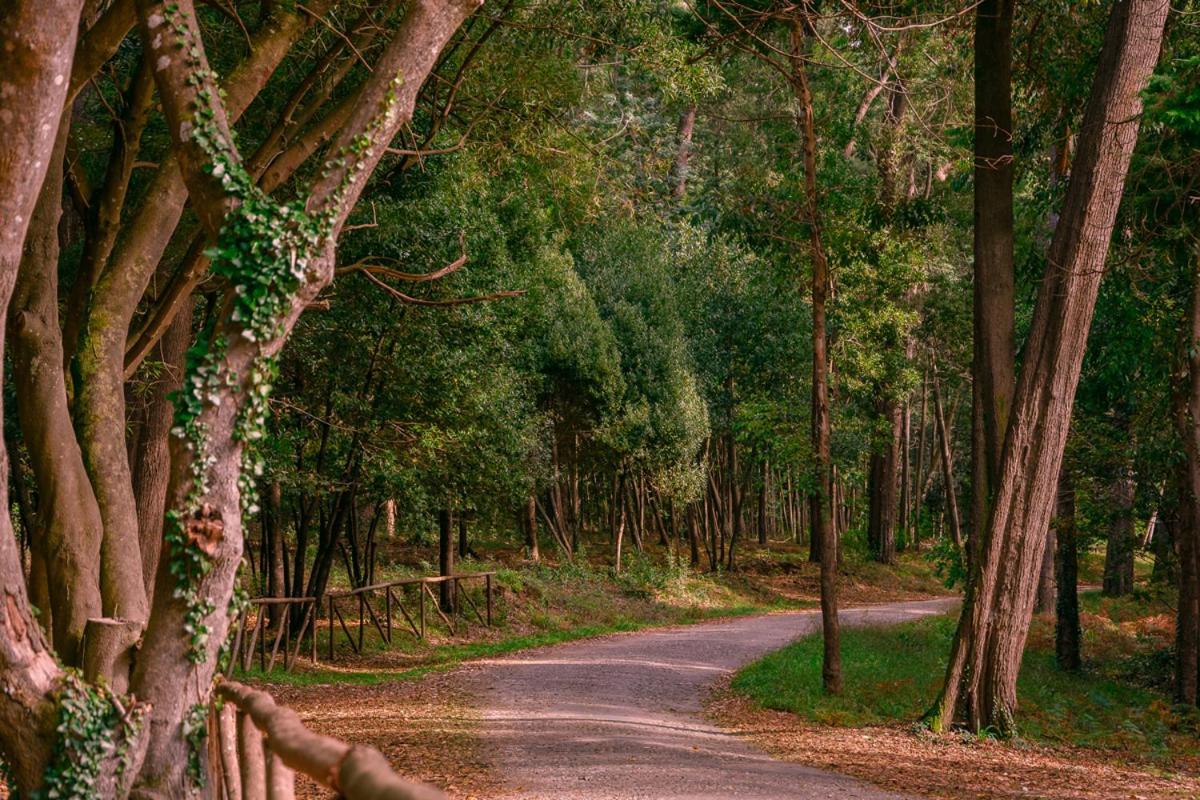 Brasil Avenue By Rent4All フィゲイラ・ダ・フォズ エクステリア 写真